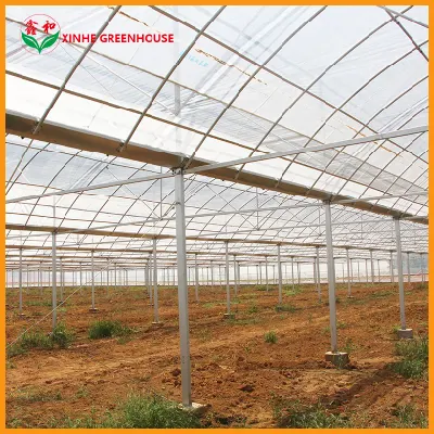 10000m2/comercial agrícola /span multi- Película/PO/PE/Plástico Casa Verde para los tomates y pimientos/Pepino/fresa con sistema hidropónico/riego por goteo