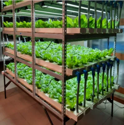  Armario de cultivo de verduras inteligente sistema hidropónico interior para plantas de interior