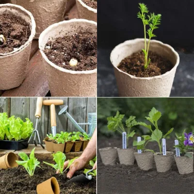  Las macetas y jardineras el jardín suministros para la bandeja de Pot