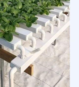  Green House Interior Vegetal creciente sistema hidropónico para la Agricultura de invernadero Tomate creciendo