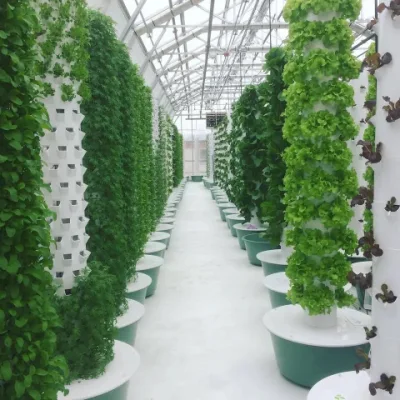 Home Use Hydroponic Growing Systems Vegetales planta Torre Jardín de la casa