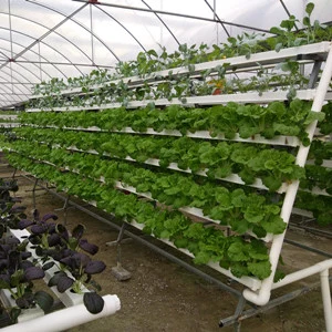  Sistemas de cultivo hidropónico vertical agrícola profesional y personalizable.