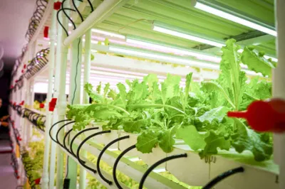  2023 Nuevo Jardín Vertical de la agricultura Aquaponics creciente en el interior del sistema de cultivo hidropónicos crecen con LED.
