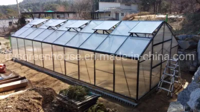  13 x 20 pies de ancho de jardín hidropónico sistema agrícola de la Casa Verde Rdgb32406 (10 mm).