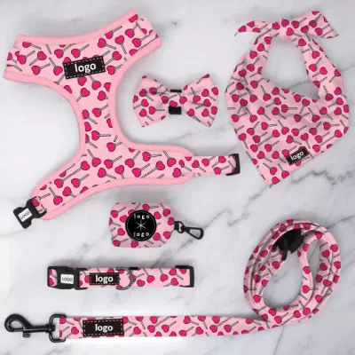  Collar de arnés de diseño personalizado Leash con logotipo de caucho de PVC, arnés de perro