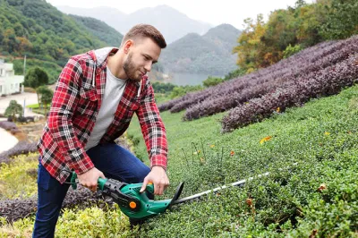 36V Batería Li-ion Cordless Hedge Polo barbero con girar la cabeza (CDPH003)