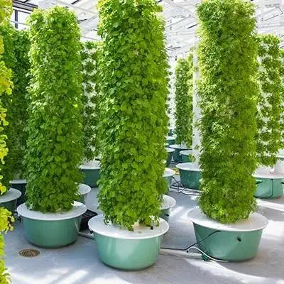 Home Use Hydroponic Growing Systems Vegetales planta Torre Jardín de la casa