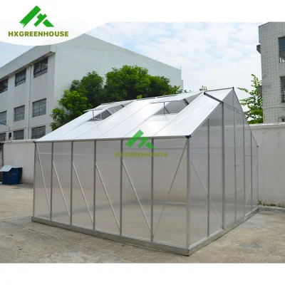 El Café comercial en el interior de 5X7 crecen las setas de gases de efecto
