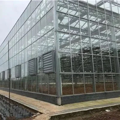  Venlo Tipo PC invernaderos invernadero de vidrio para hortalizas/Flor/Cucumber Salón de Exposiciones Granja con sistema hidropónico