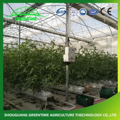 Cheap Multi-Span/span único túnel de plástico Cristal comercial la granja de policarbonato de efecto invernadero de la agricultura con semillero para el tomate hidropónico fresa