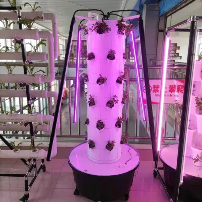 Pequeño interior vertical Hydroponic Systems Hydroponic Tower Garden