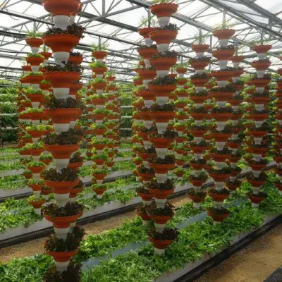  Ambiente amigable Banco Rollinng Automated Hydroponics Garden creciendo NFT Hydroponic Sistema de invernadero