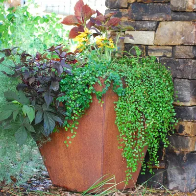 Decoración de jardín personalizados al aire libre Cónica de Acero Corten la sembradora