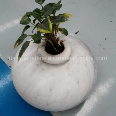 Jardín Ornament Piedra Flor de Pot Blanco Jardín de mármol plantadora