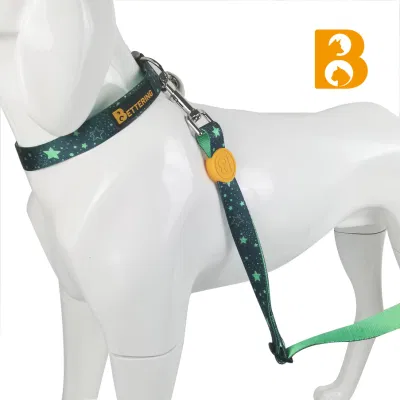  5 maneras Moda Baja cantidad impresión Pet Leads poliéster ajustable Perdurable Pet Dog Leah Collar Accesorios de Perro Leah Mazo de cables