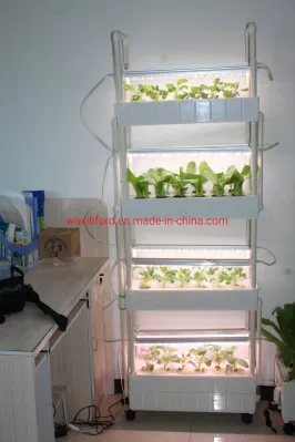 Smart vegetal hierbas jardín interior del sistema de hidroponía Aparato de Cocina