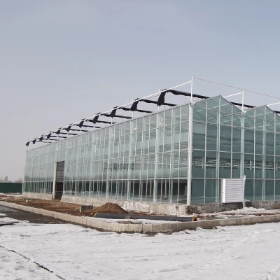 Granja barata Agrícola de vidrio Verde Casa para la venta