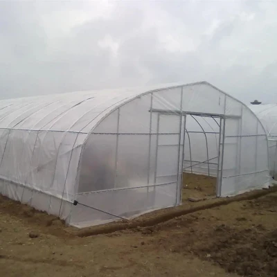 Instalaciones de Jardín cobertizo/Mini Casa Verde al Aire libre para Flores