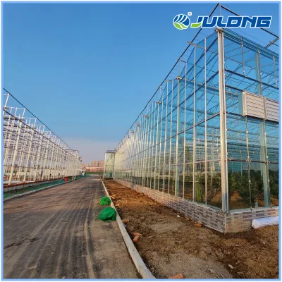 La tecnología inteligente de Venlo de efecto invernadero de cristal templado de tipo jardín interior hidropónicos de cultivo de hortalizas
