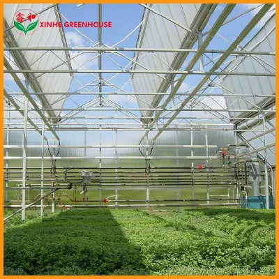 Granja Comercial/Polietileno Hoja de Arbonato Casa Verde para Verduras/Jardín/Frutas Tomate/pepino/Lechuga/Pimienta/Pimienta/setas/Cerezo/Tomate