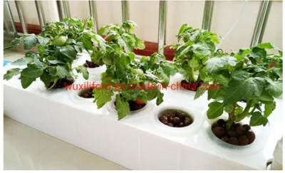 Smart vegetal hierbas jardín interior del sistema de hidroponía Aparato de Cocina