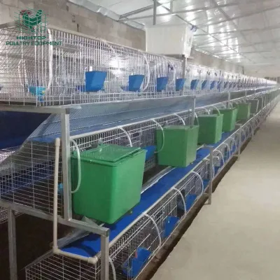 Al aire libre Pisos Baratos automática de 3 Fácil de limpiar la jaula del conejo de metal