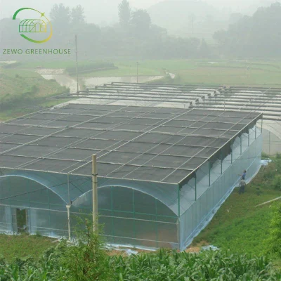  Gran Venlo Tipo PC Agricultura Kit invernadero Agrícola invernadero en Crecer