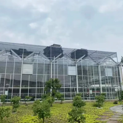 Invernadero de vidrio con pulverizador autopropulsado y banco rodante para Plantas de plantas de plantas vegetales/flores