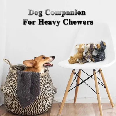2024 Perro más nuevo animales rellenos Chew Toy Perro de gulo duradero Juguetes para las pelucas pesadas extremo oso Squeaky Perro juguete