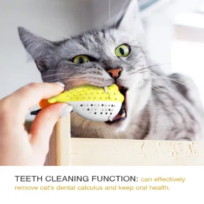 Cepillo de Dientes de Gato interactivo marca Voovpet Limpieza de dientes Cuidado Dental Chew Gato juguete para gatos gatito