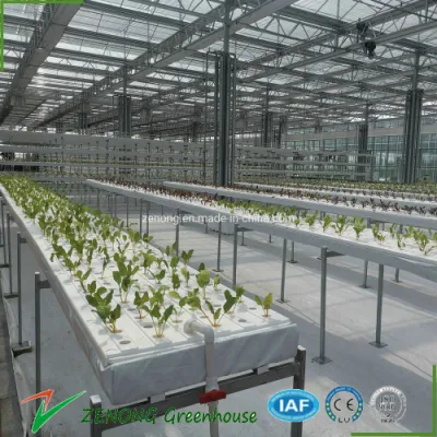  Los gases de uso en interiores de la MFT Vertical Dwc Hydroponics Comercial sistemas de cultivo