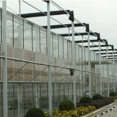  Suministros de invernadero con sistema de siembra de copeat para aves de corral y agricultura