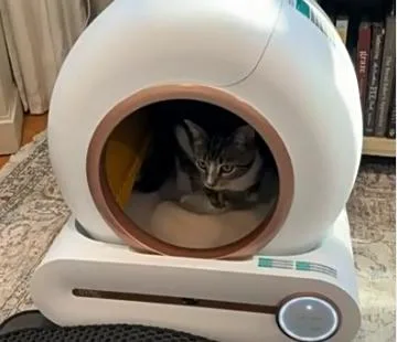 Caja de basura de gato de autolimpieza de gran capacidad Smart Automatic Cat Caja de basura con CONTROL DE APLICACIÓN para varios gatos