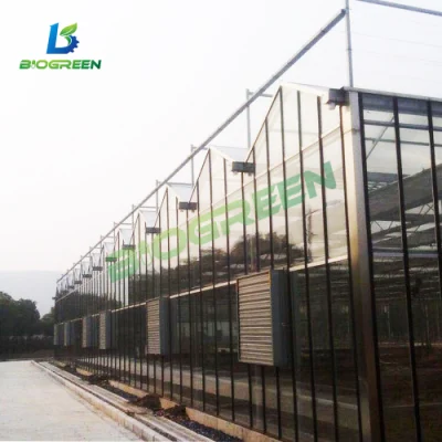  Mejor diseño bastidor metálico de aluminio agrícola en el patio de efecto invernadero de flores