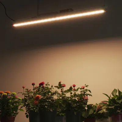  Lumin nuevo diseño de amplio espectro de LED 100W crecimiento de la planta de gases de efecto de luz