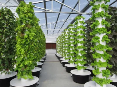 Pequeño interior vertical Hydroponic Systems Hydroponic Tower Garden