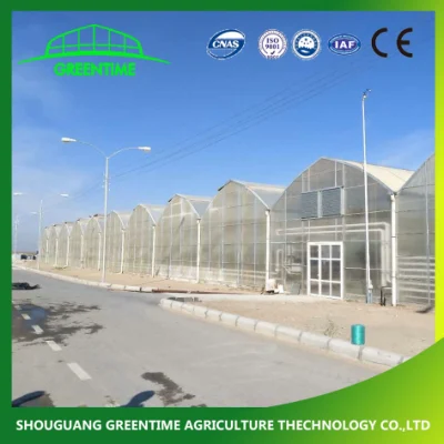 Cheap Multi-Span/span único túnel de plástico Cristal comercial la granja de policarbonato de efecto invernadero de la agricultura con semillero para el tomate hidropónico fresa