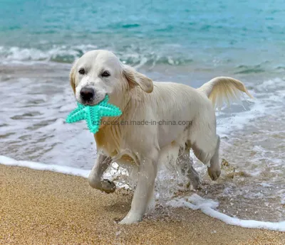 Perro Mastique los juguetes, el Caucho Natural Starfish-Shaped perro juguetes, golosinas, Squeaky interactivo Cepillo de Dientes de Perro de dentición Limpiador de juguetes, Rompecabezas de juguete de entrenamiento al aire libre Wbb12771