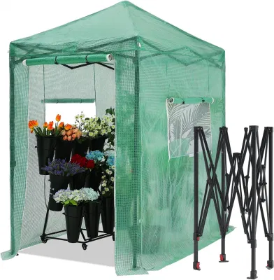  Pop up Greenhouse Walk-In Garden Greenhouse para Jardinería al aire libre Con puerta enrollable y ventanas