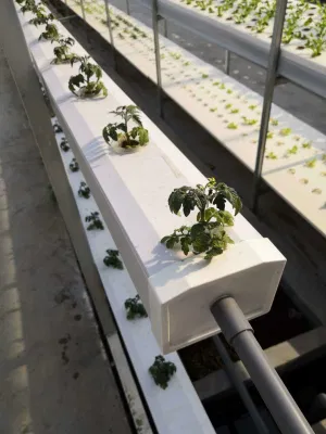 Promoción Nuevo sistema de crecimiento hidropónico Interior Agropecuario vertical Torre Comercial O uso del jardín