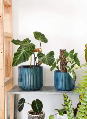 Maceta grande de cerámica para plantas con agujeros de drenaje. Macetas de jardín, macetas de porcelana para plantas de interior y exterior. Juego de 3 macetas con esmalte reactivo azul.