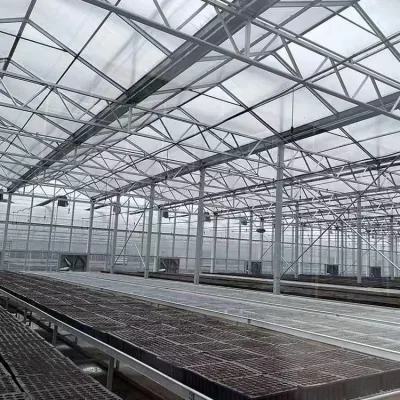 Invernadero de vidrio Venlo Multi Span