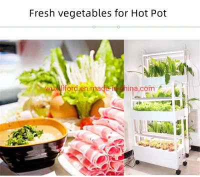  Smart vegetal hierbas jardín interior del sistema de hidroponía Aparato de Cocina