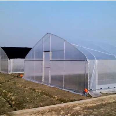  Instalaciones de Jardín cobertizo/Mini Casa Verde al Aire libre para Flores