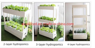 Smart vegetal hierbas jardín interior del sistema de hidroponía Aparato de Cocina