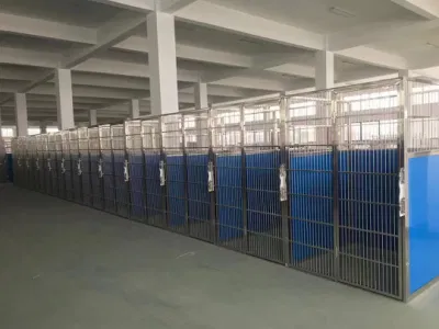 Perrera corre piscina interior climatizada Perrera