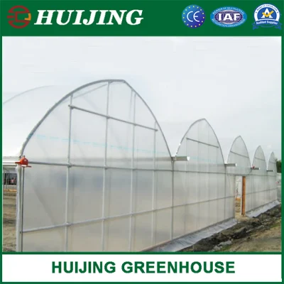 Sistemas de Cultivo hidropónico completa suministros de efecto invernadero