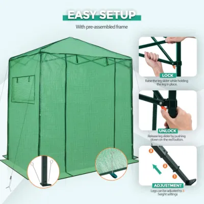 6X4 Portable Greenhouse Instant Pop-up instalación rápida planta de interior al aire libre Jardinería Canopy Casa Verde