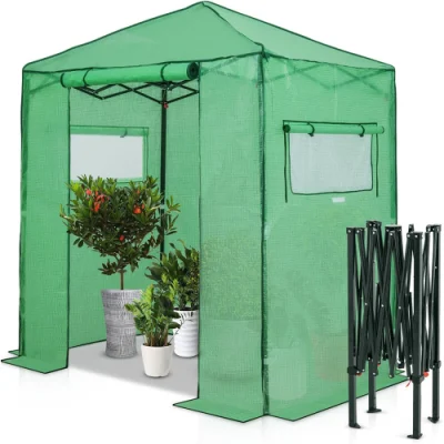 6X4 Portable Greenhouse Instant Pop-up instalación rápida planta de interior al aire libre Jardinería Canopy Casa Verde