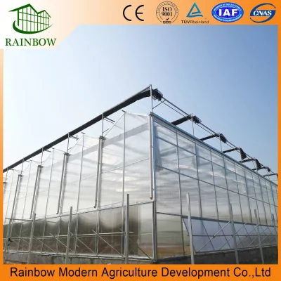  Hoja de policarbonato Jardín Comercial Eco invernadero con Hydroponics/ Cocopeat plantando Sistema/ LED Grow Light System aleación de aluminio para agricultura/ aves